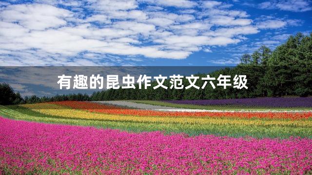 有趣的昆虫作文范文六年级