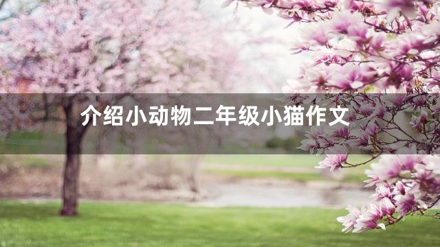 介绍小动物二年级小猫作文