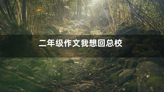 二年级作文我想回总校