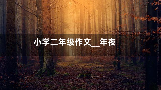 小学二年级作文__年夜