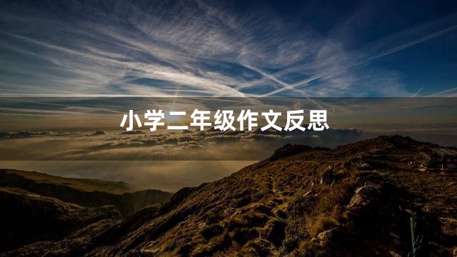 小学二年级作文反思