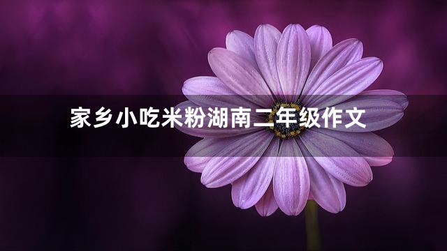 家乡小吃米粉湖南二年级作文