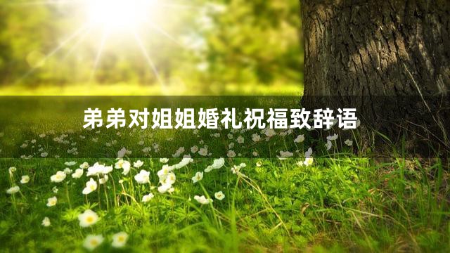 弟弟对姐姐婚礼祝福致辞语