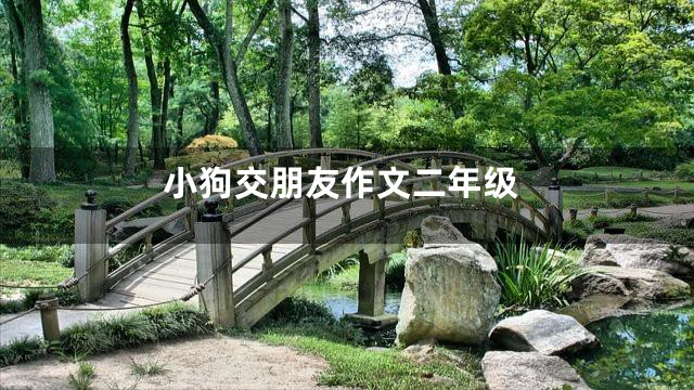 小狗交朋友作文二年级