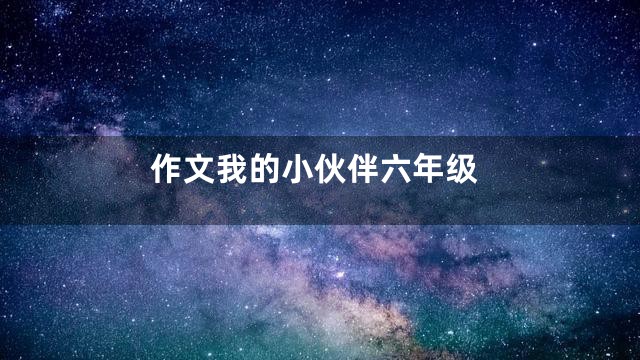 作文我的小伙伴六年级