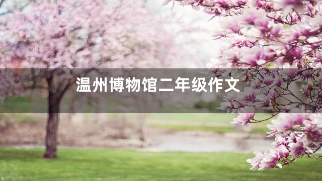 温州博物馆二年级作文