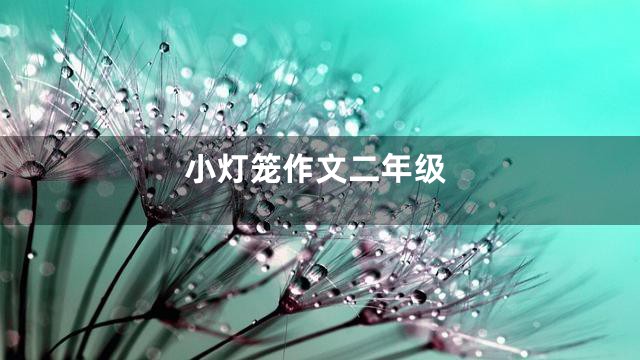 小灯笼作文二年级