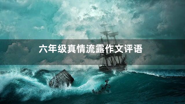 六年级真情流露作文评语