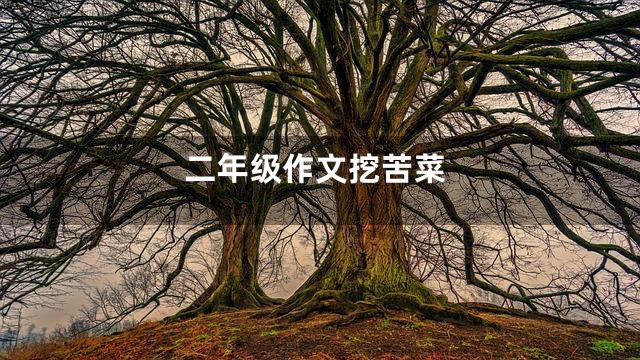 二年级作文挖苦菜