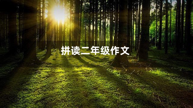 拼读二年级作文