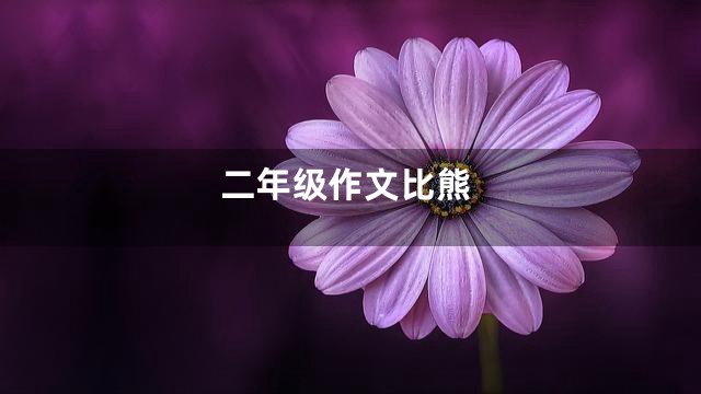 二年级作文比熊