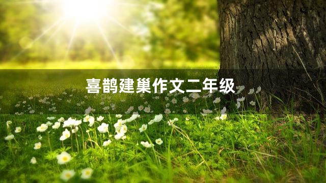 喜鹊建巢作文二年级