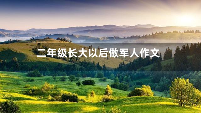 二年级长大以后做军人作文