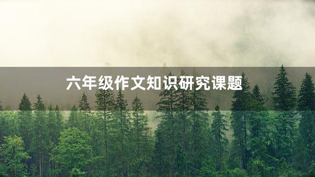 六年级作文知识研究课题