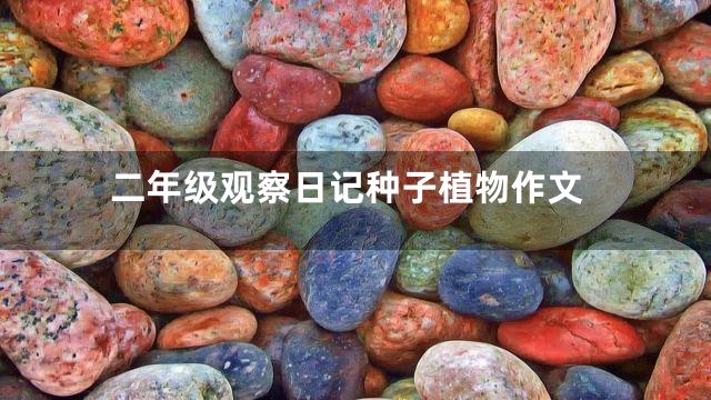 二年级观察日记种子植物作文