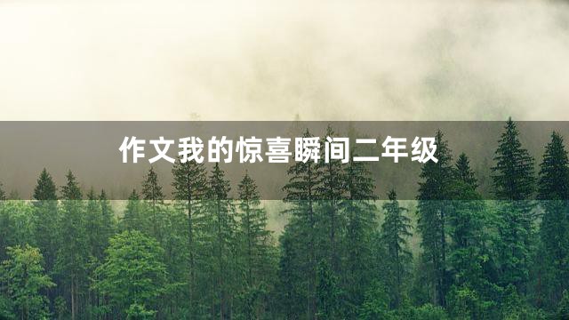 作文我的惊喜瞬间二年级