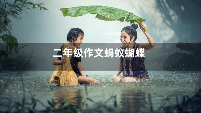 二年级作文蚂蚁蝴蝶