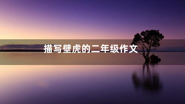 描写壁虎的二年级作文