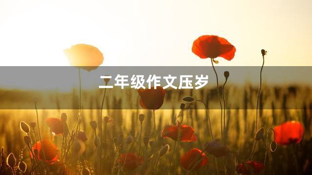 二年级作文压岁