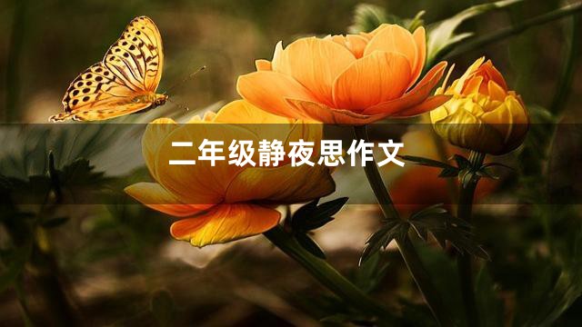 二年级静夜思作文