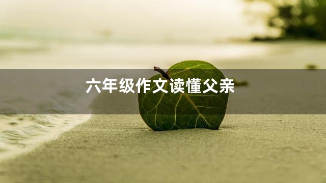 六年级作文读懂父亲