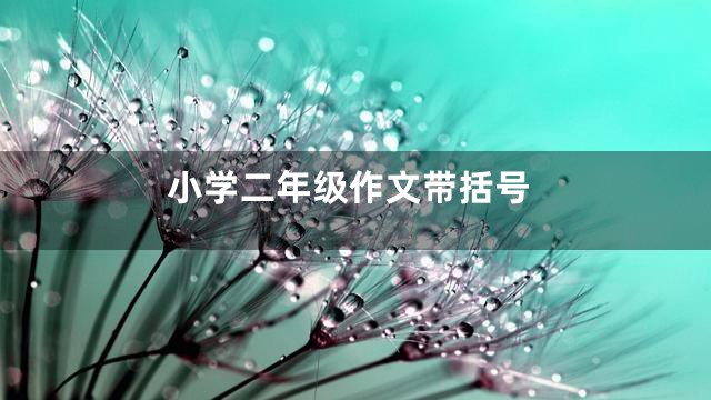 小学二年级作文带括号