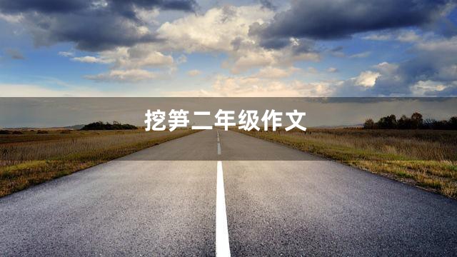 挖笋二年级作文