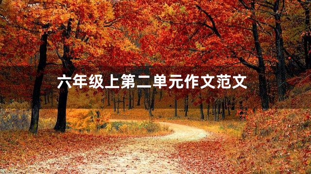 六年级上第二单元作文范文