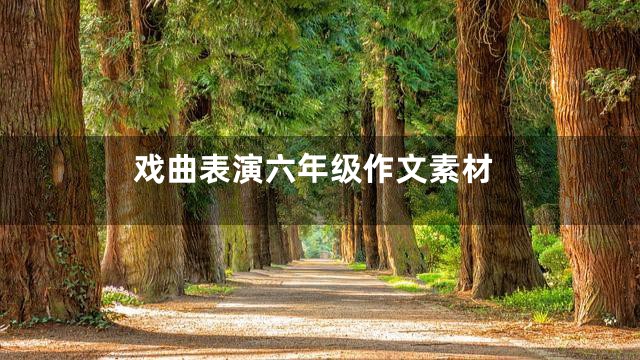 戏曲表演六年级作文素材