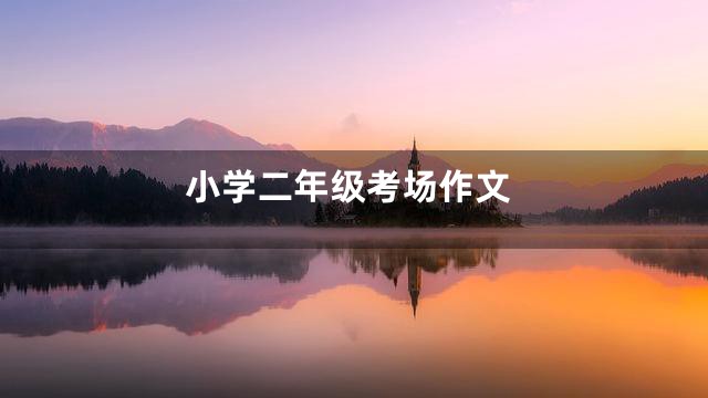 小学二年级考场作文