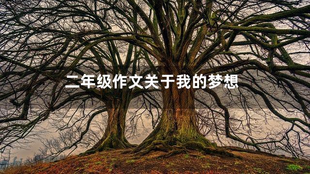 二年级作文关于我的梦想