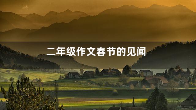 二年级作文春节的见闻