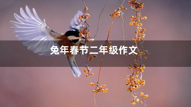 兔年春节二年级作文