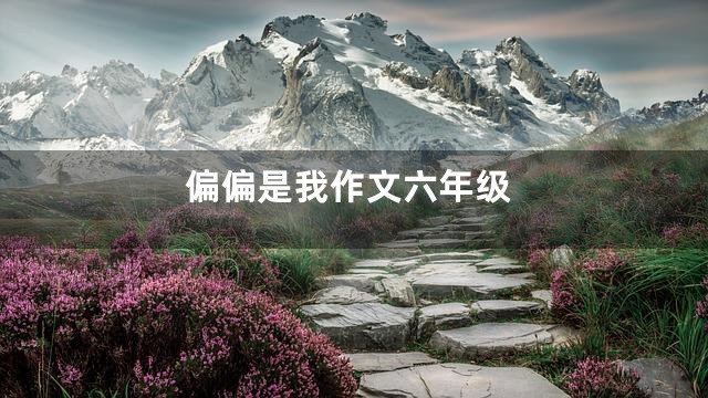 偏偏是我作文六年级