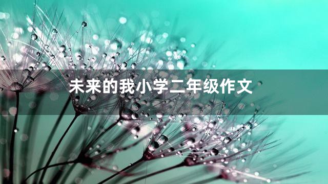 未来的我小学二年级作文