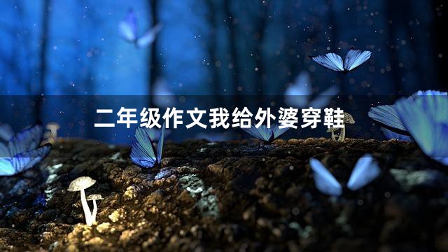 二年级作文我给外婆穿鞋