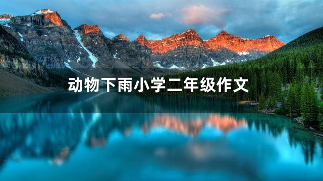 动物下雨小学二年级作文