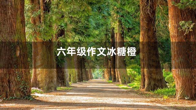 六年级作文冰糖橙