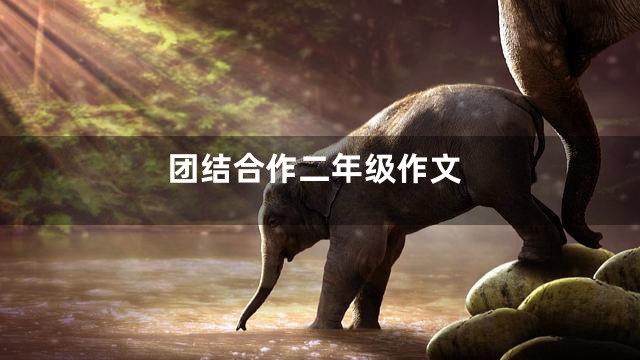 团结合作二年级作文