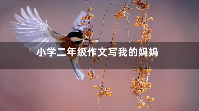 小学二年级作文写我的妈妈