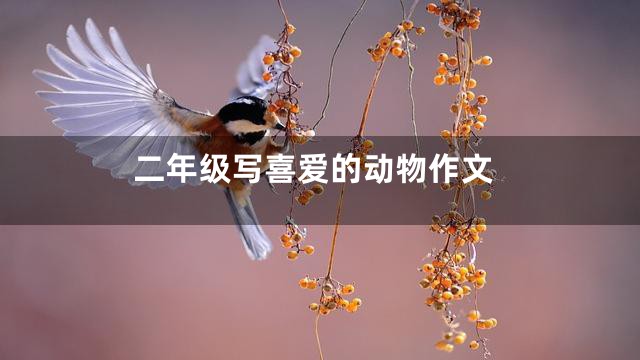 二年级写喜爱的动物作文