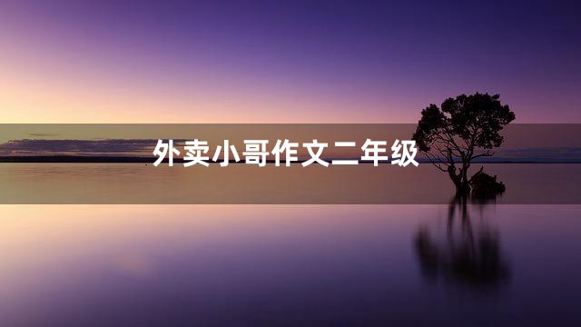 外卖小哥作文二年级