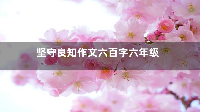 坚守良知作文六百字六年级