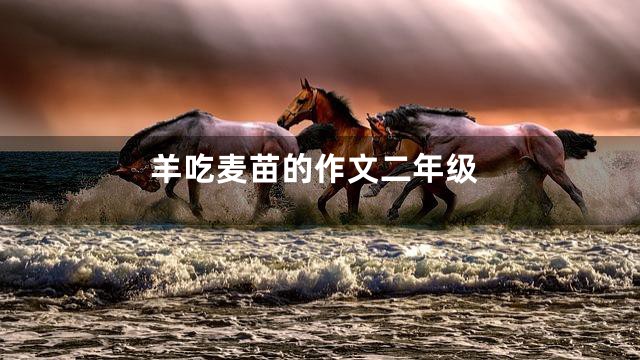 羊吃麦苗的作文二年级