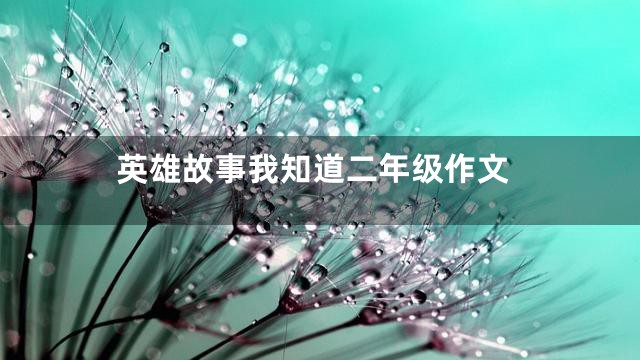 英雄故事我知道二年级作文