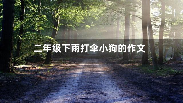 二年级下雨打伞小狗的作文