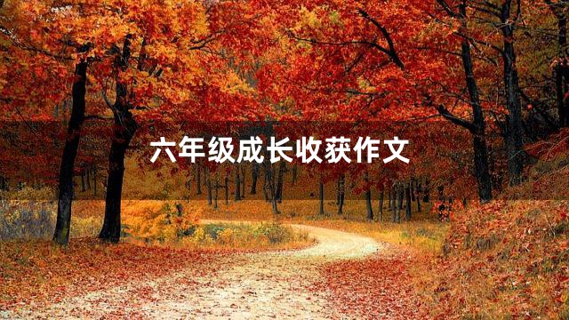 六年级成长收获作文
