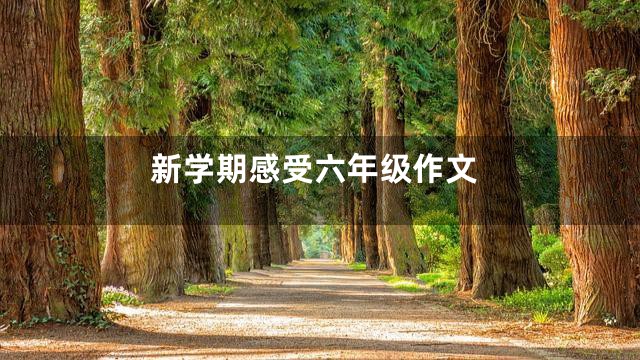 新学期感受六年级作文
