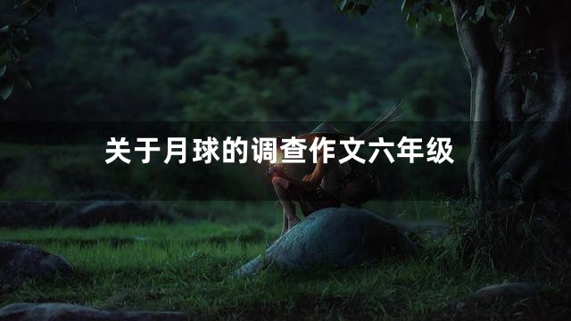 关于月球的调查作文六年级
