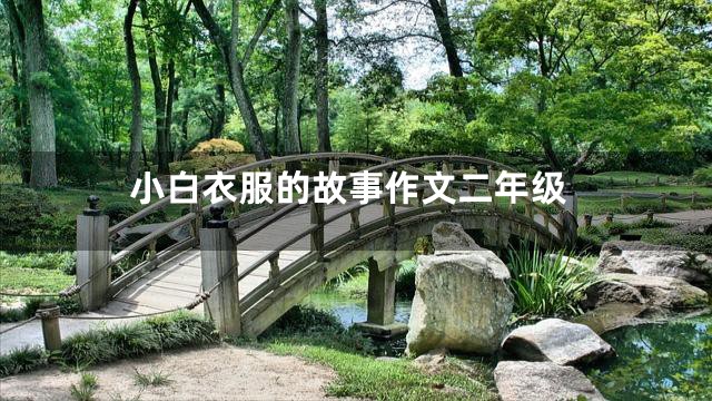 小白衣服的故事作文二年级